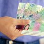 На какой срок выдается шенгенская виза