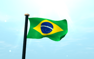 Бразилия с флагом