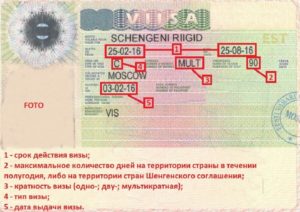 Каков срок действия визы шенген