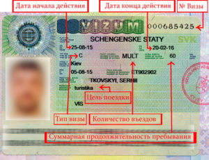 Шенген Визы по цели поездки