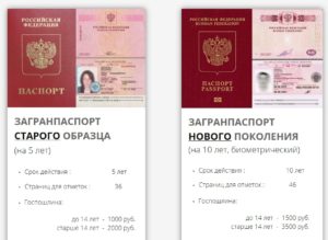 сколько делается паспорт по месту жительства