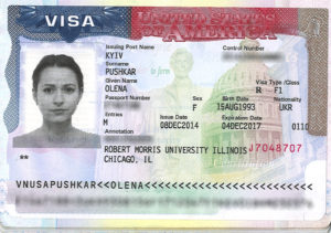 студенческую визу в США