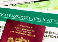 Эмиграция в Ирландию из России и получение гражданства